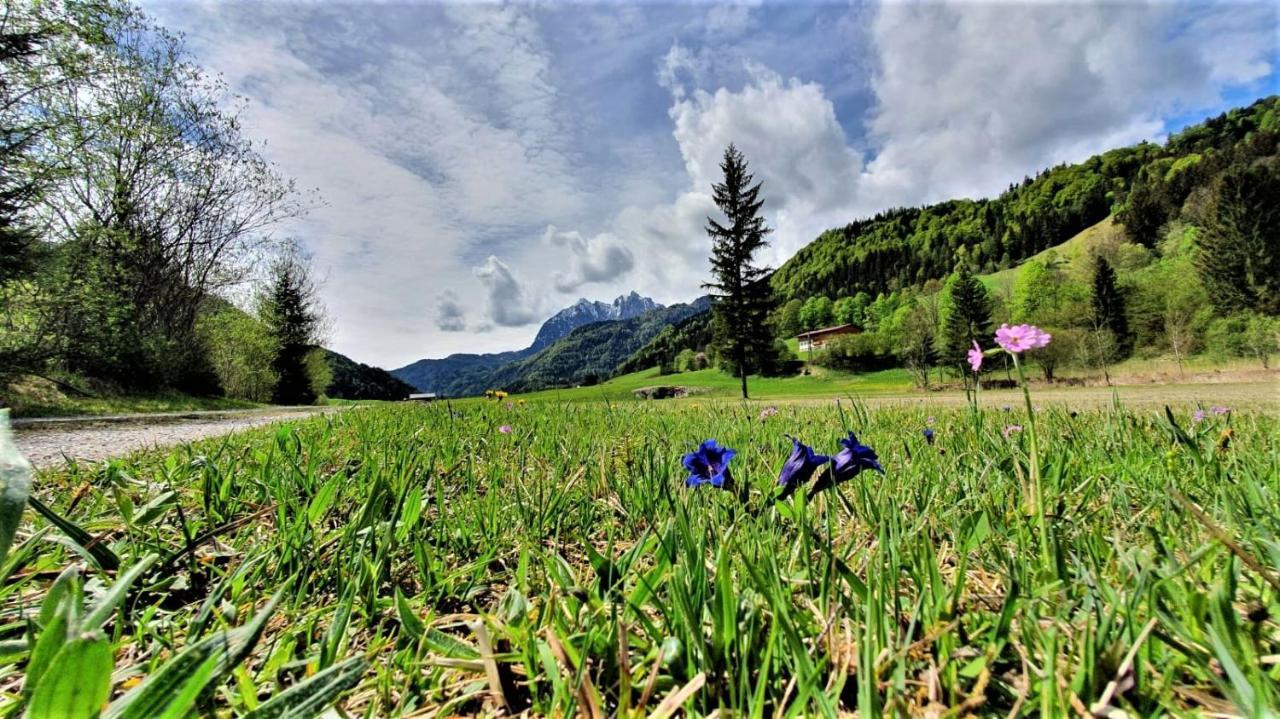 Haus Christl Am Horn Lejlighed St. Johann in Tirol Eksteriør billede